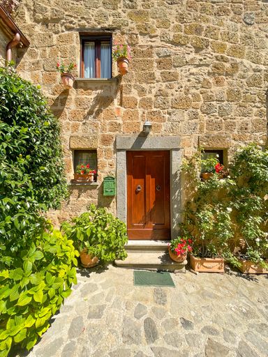 A vintage brown wooden door with green plants in the yard. Bagnoregio, Italy.