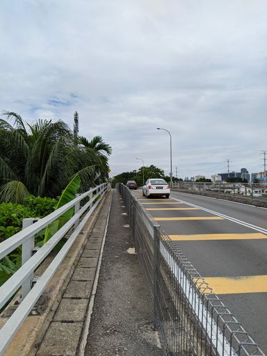 A vertical shot of a street road, cars on the highway through green plants