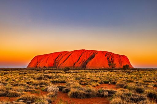 Uluru at sunset with vibrant orange hues and a clear sky in the Australian outback.