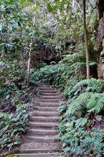 A vertical shot of a stairway from the Pool of Siloam at Leura in the Blue Mountains of Australia