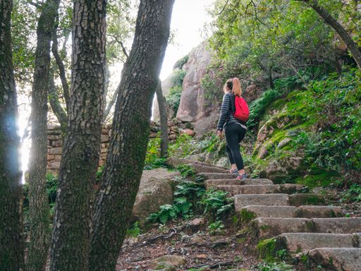 A low angle shot of a woman climbing upstairs while hiking in a forest