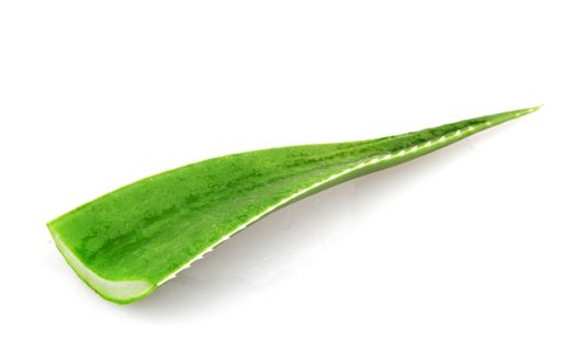 A single aloe vera leaf isolated on a white background