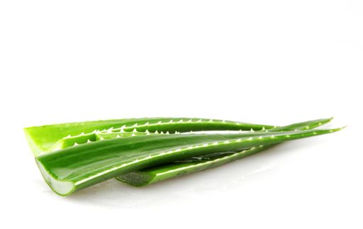 An aloe vera leaves isolated on a white background