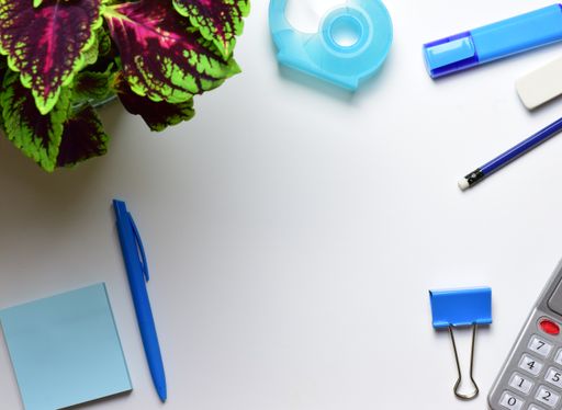 A top view shot of stationery and a plant on a white background