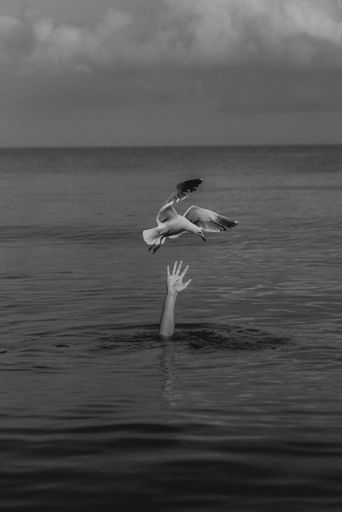 A hand reaching out of the water and trying to catch a flying gull