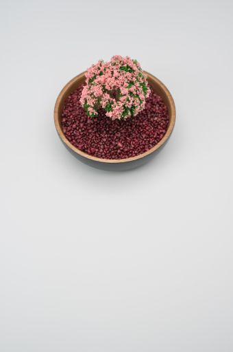 A ceramic bowl with decorative pebble stones and artificial flowers isolated on a white background