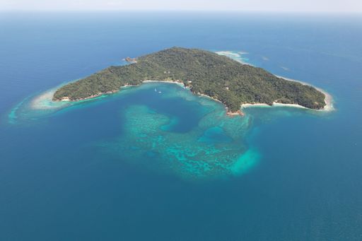 Aerial view of a lush green island surrounded by clear turquoise waters, showcasing vibrant coral reefs and serene ocean landscape.