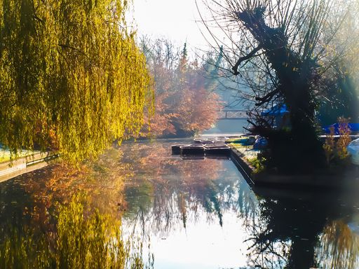 Serene autumn scene with trees reflecting in a calm river, showcasing vibrant foliage and a tranquil atmosphere.