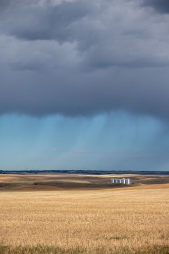 The field under the cloudy sky