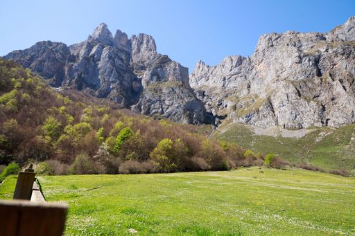 The expansive green meadows for grazing cattle and goats in Asturias, Spain