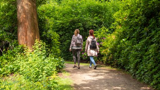 The people walking on narrow path through the lovely park in Vaassen, Netherlands