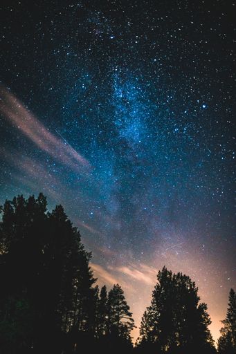 The milky way galaxy in night sky over forest trees