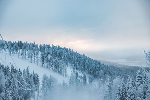 The snowy mountain forest against a cloudy sky