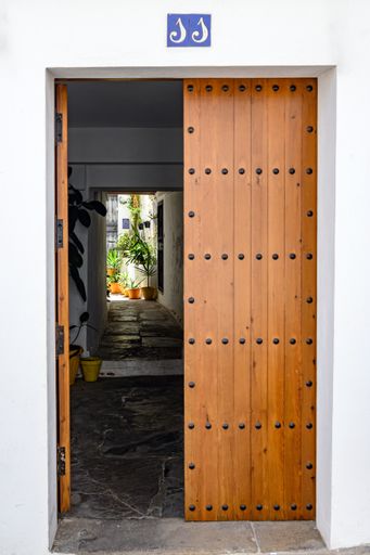 A closeup of a traditional door