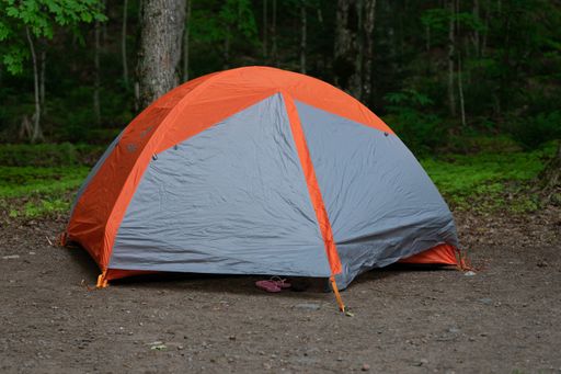 A tent in a gloomy forest