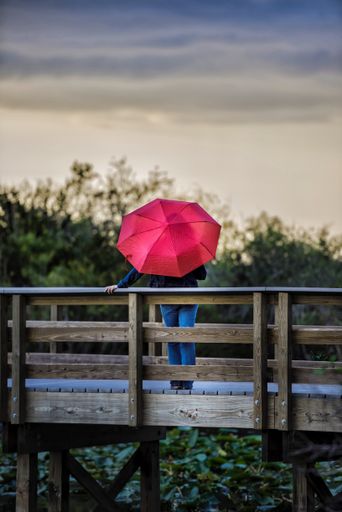 A vertical shot of a woman with a pink umbrella standing on a wooden bridge with a nature background