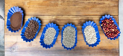 A top view of different stages of coffee beans from cherries to grounds displayed in blue trays on a wooden table.