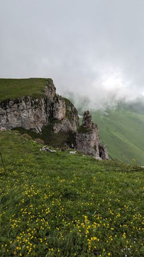 A scenic view of a rocky cliff with yellow wildflowers and misty clouds in the background, creating a serene natural landscape.