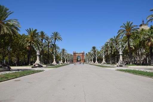 An empty pathway lined with tropical palm trees leading to the park
