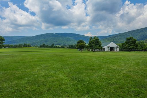 A lush vineyard in Virginia with vibrant green grapevines under a clear sky.