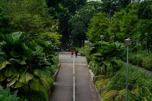 People walking at Duxon Plain Park during lunch break time, Tanjong Pagar, Singapore
