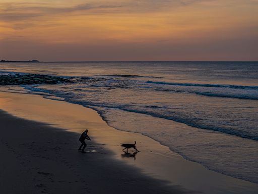 Aerial view of a man playing fetch with his dog on a beach at sunrise