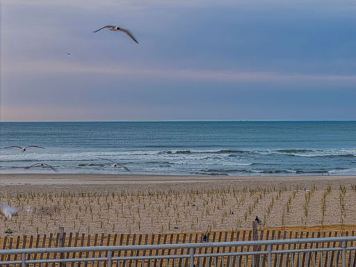 Seaside view with seagulls flying over a sandy beach and ocean waves under a cloudy sky.