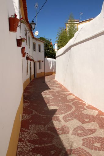 A vertical shot of a beautiful alley in Nisa, Portugal