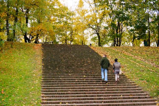 A rear view of a couple walking up the stairs in the park in Poznan, Poland