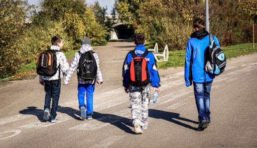 A rear view of a group of children in street on a sunny day