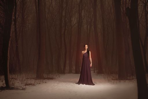 A woman in a long dress stands in a snowy forest, surrounded by tall trees, under a moody, mysterious atmosphere.