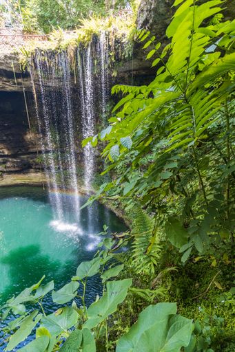 The beautiful waterfall view over green plants in the forest in Cenote, Mexico