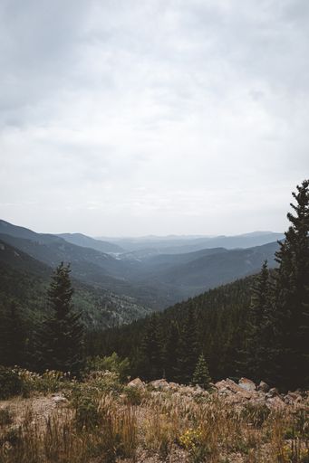 A mesmerizing view of forested mountains under the blue sky