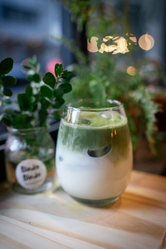 A refreshing iced matcha latte with a leafy background