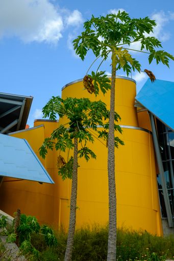 A vertical picture of Biomuseo surrounded by greenery under a blue sky at daytime in Panama