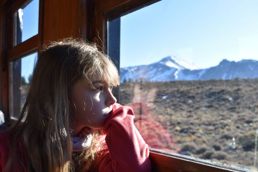 A girl gazes out of a train window, lost in thought.