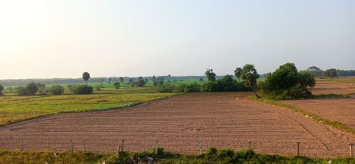 A Beautiful scenery of wide green grass field and green trees under a cloudy blue sky