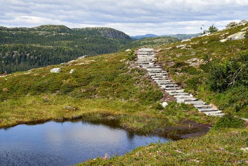 A trail with huge stones leading to the Madonna and the child statue at Trillemarka in Norway