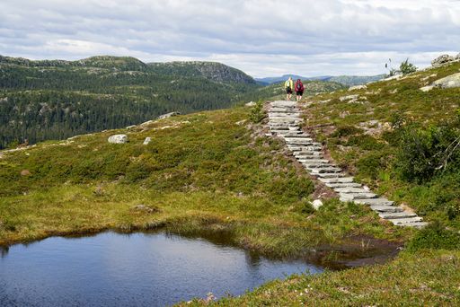 A trail with huge stones leading to the Madonna and the child statue at Trillemarka in Norway