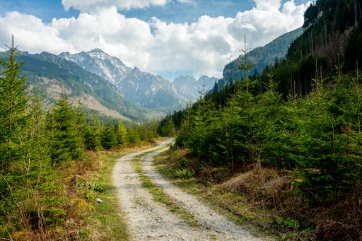 A scenic mountain path in the Tatra Mountains, Poland, surrounded by lush greenery and a clear blue sky.