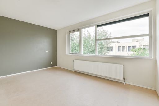A beautiful renovated empty room interior with white green walls and wooden floors