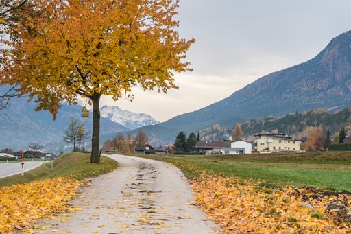 A horizontal shot of a great view in a public park in autumn, beautiful tree and mountain, farm house