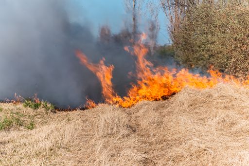 A closeup shot of burning grass in the field on a hot day