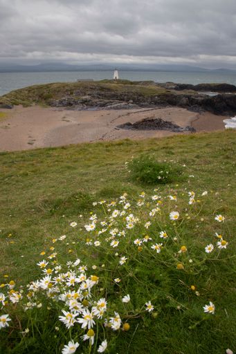 A scenic view of Ynys Llanddwyn on Anglesey, Wales, with picturesque landscapes and natural beauty.
