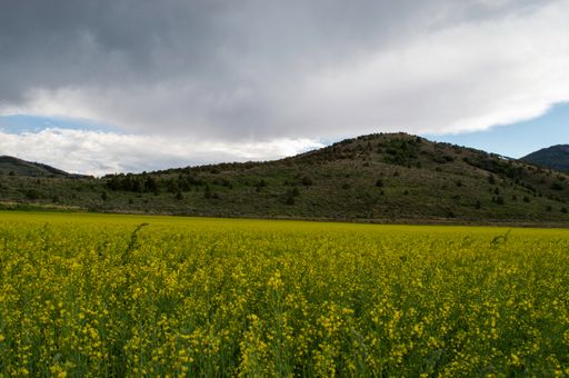 A beautiful view of a mountainous landscape with greenery under a cloudy sky