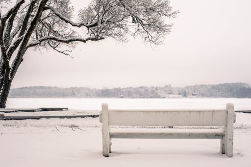 A wide shot of a bench in a park covered in the snow next to a tree