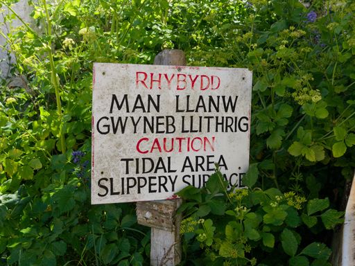 A sign that says "Caution" in Welsh. It is in a garden. The sign is on a wooden post