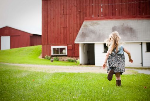 A beautiful shot of young girl running on the grass towards a large red wooden barn