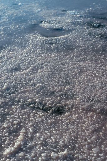 A close-up shot of salt flats in water.