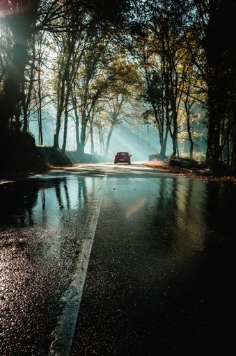 A vertical shot of a car on the road surrounded by trees in the dark